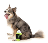 Monster Brew - Halloween Dog Toy by FuzzYard