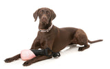 Fetch N Float Dog Toy - Peach by FY Active