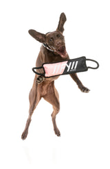 Rope Tug Dog Toy - Peach by FY Active