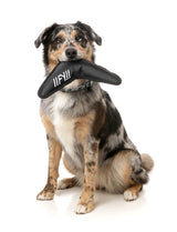 Flyer Dog Toy - Black by FY Active