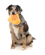 Pizza Heart - Dog Toy by FuzzYard